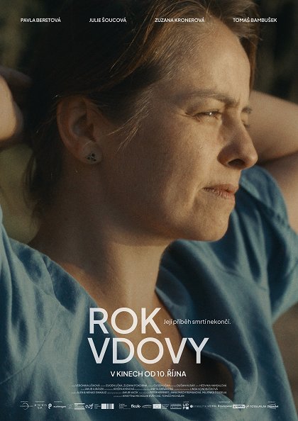 Poster de Year of the widow