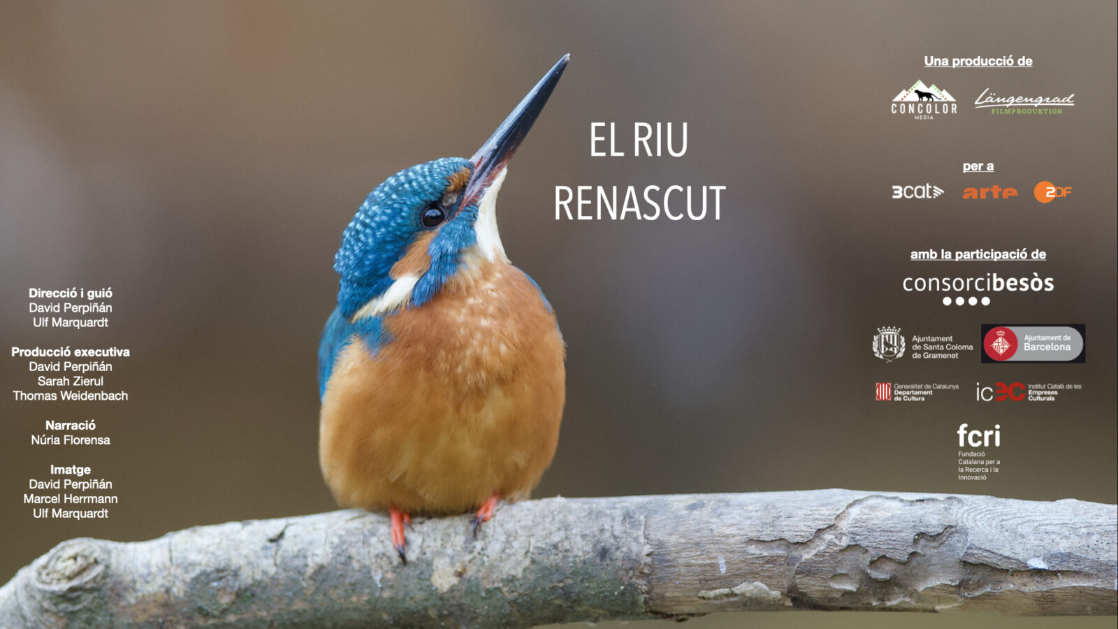 Poster de El riu renascut