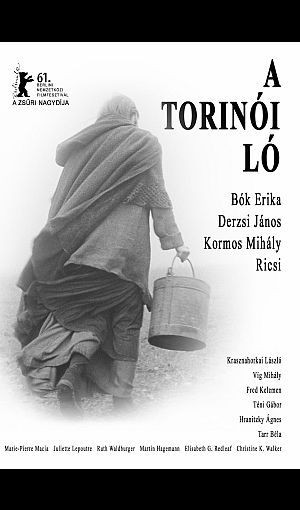 Poster de A torinói ló